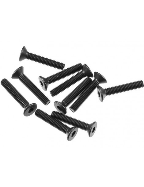 Axial Screw Hex Socket M3x16mm Flat Head (10)