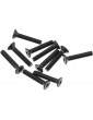 Axial Screw Hex Socket M3x16mm Flat Head (10)