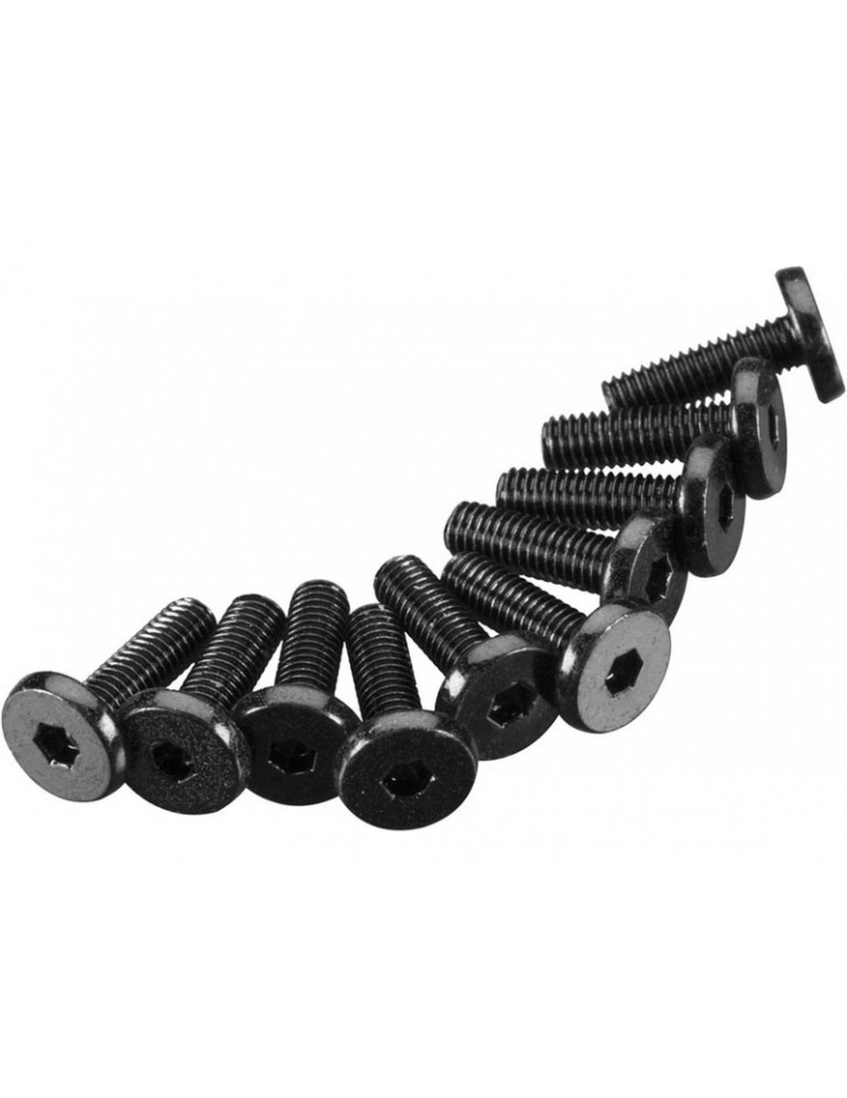 Axial Screw Hex Socket M3x10mm Oversize Head (10)