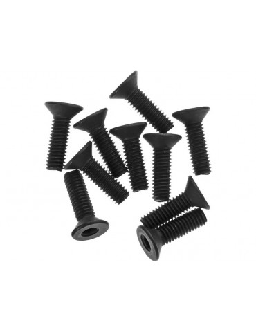Axial Screw Hex Socket M3x10mm Flat Head (10)