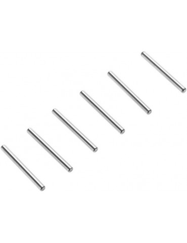 Axial Pin 2x20mm (6)