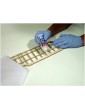 Tissue Paste 50ml