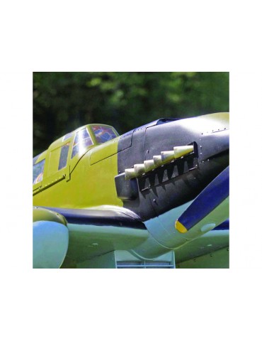 RC Modeller's Glue 80ml