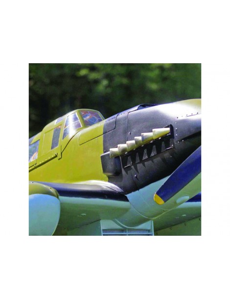 RC Modeller's Glue 80ml