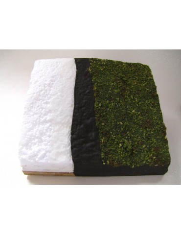 Foam Armour 250ml
