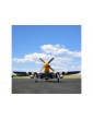 E-flite P-51D Mustang 1.5m BNF Basic