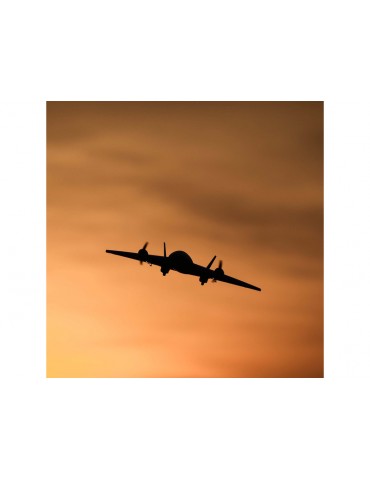 E-flite Ultrix 0.6m SAFE BNF Basic