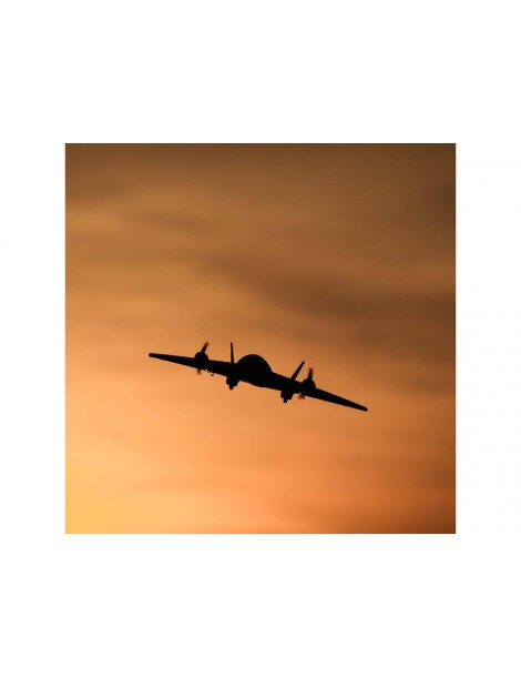 E-flite Ultrix 0.6m SAFE BNF Basic