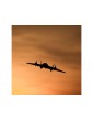 E-flite Ultrix 0.6m SAFE BNF Basic