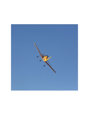 E-flite T-28 Trojan 1.1m BNF Basic