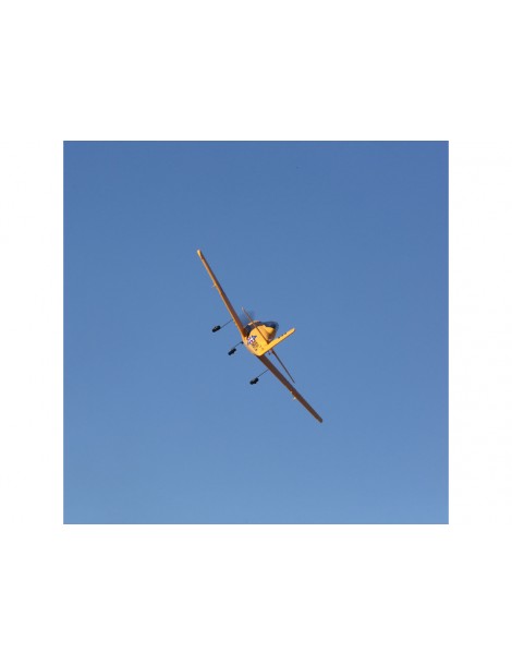 E-flite T-28 Trojan 1.1m BNF Basic