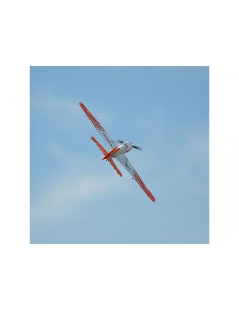 E-flite V900 0.9m SAFE Select BNF Basic