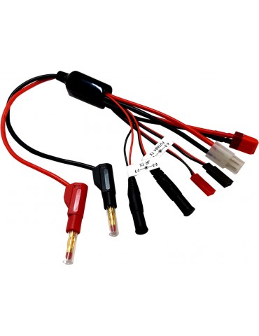Chg Ld 4mm~Tam, Dns, BEC, Rx, Fut/JR Tx