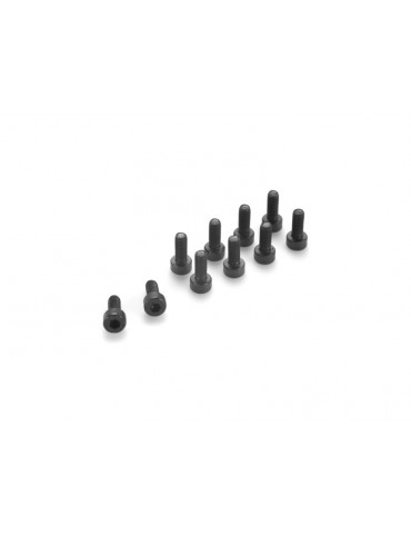 Screw Hex Socket Head M3x6mm Steel (10)