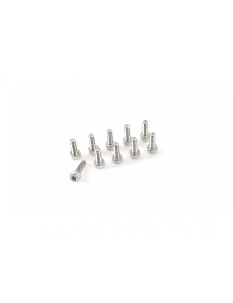 Screw Hex Socket Head M4x6 Inox (10)