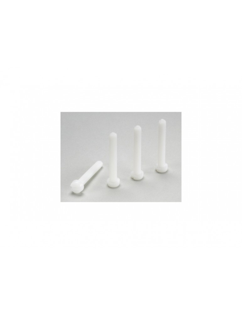 Screw Pan Head M4x10 Nylon (5)