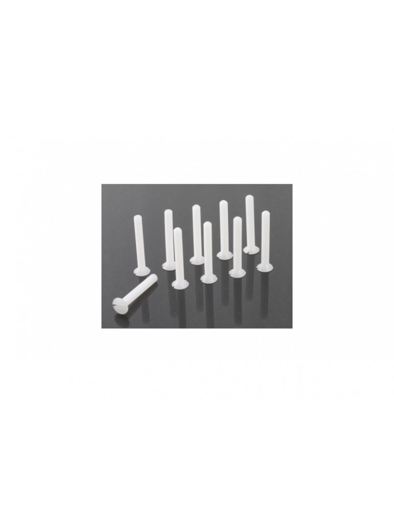 Screw Flat Head M3x10 Nylon (5)