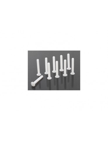 Screw Flat Head M4x10 Nylon (5)