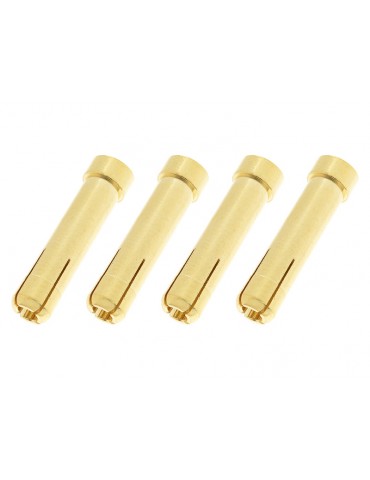 Connector Gold Plated - Conversion 4mm Female/5mm Male (4)