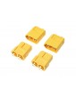 Connector Gold Plated XT-60PB (2 pairs)