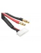 Charge Lead w/ 6S XH - Deans/3S XH 30cm