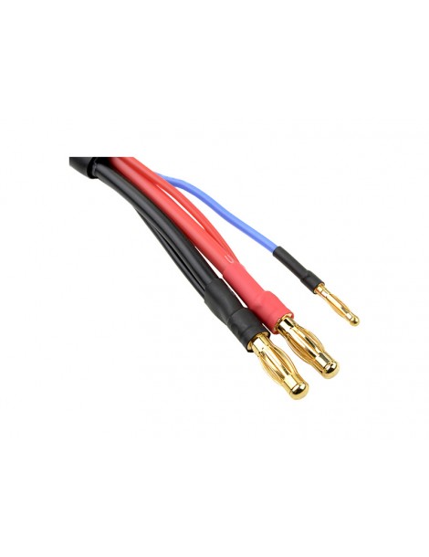 Charge Lead w/ 2S XH - 4mm/2mm 30cm