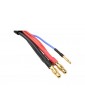 Charge Lead w/ 2S XH - 4mm/2mm 30cm