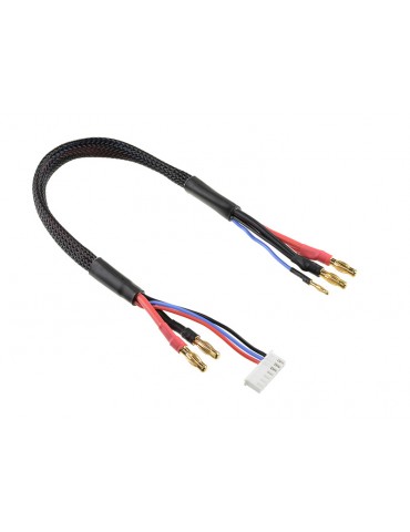 Charge Lead w/ 6S XH - 4mm/2mm 30cm