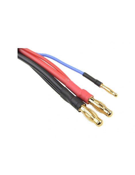 Charge Lead w/ 6S XH - 4mm/2mm 30cm