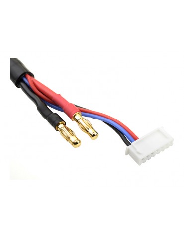Charge Lead w/ 6S XH - 4mm/2mm 30cm