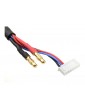 Charge Lead w/ 6S XH - 4mm/2mm 30cm