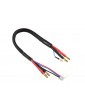 Charge Lead w/ 2S XH - 5mm/2mm 30cm