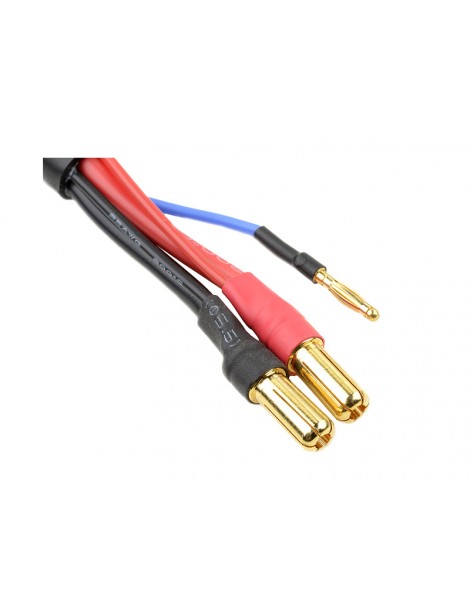 Charge Lead w/ 2S XH - 5mm/2mm 30cm
