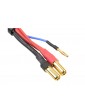 Charge Lead w/ 2S XH - 5mm/2mm 30cm