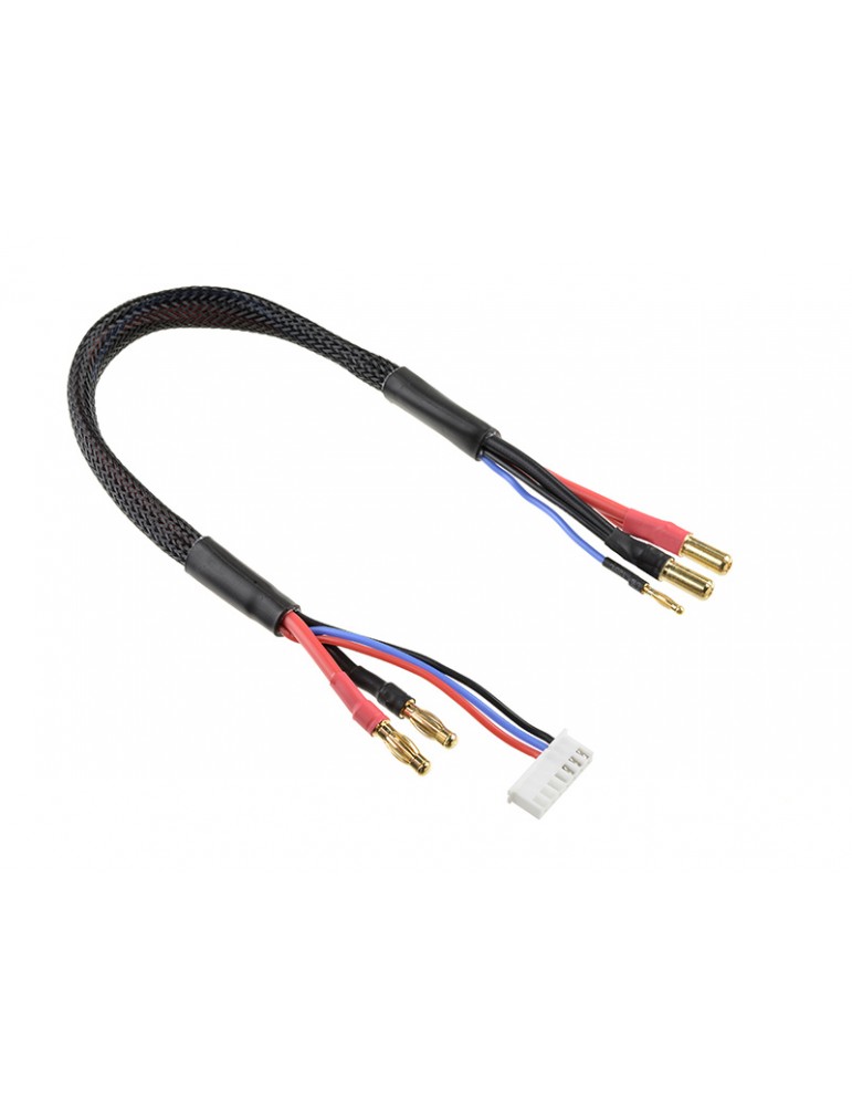 Charge Lead w/ 6S XH - 5mm/2mm 30cm