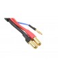 Charge Lead w/ 6S XH - 5mm/2mm 30cm