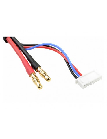 Charge Lead w/ 6S XH - 5mm/2mm 30cm