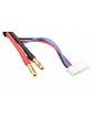 Charge Lead w/ 6S XH - 5mm/2mm 30cm