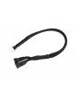 Balancer Adapter Lead 4S-XH - 2x 2S-XH 22AWG 30cm