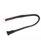 Balancer Adapter Lead 6S-XH - 4S-XH 22AWG 30cm