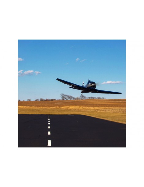 F6F Hellcat 15cc 1.6m ARF