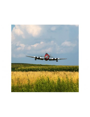 P-47D Thunderbolt 20cc 1.7m ARF