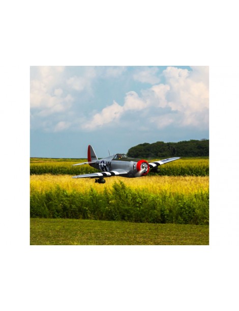 P-47D Thunderbolt 20cc 1.7m ARF