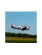 P-47D Thunderbolt 20cc 1.7m ARF