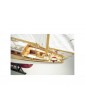 COREL Corsaro II sailing boat 1:24 kit