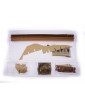 COREL S.I. 5.5m sailing boat 1:25 kit