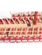 Dušek La Real Galeere 16 Jh. 1:72 kit