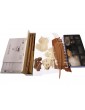 COREL Half Moon 1609 1:50 kit