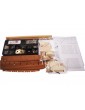 COREL Dolphyn 1750 1:50 kit
