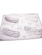 COREL Prins Willem 1651 1: 100 kit